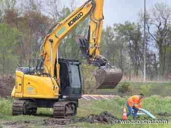 Windsor's newest cricket field starts to take shape