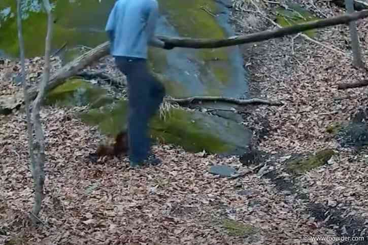 New York Man Caught Booby Trapping Bike Trails Red-Handed