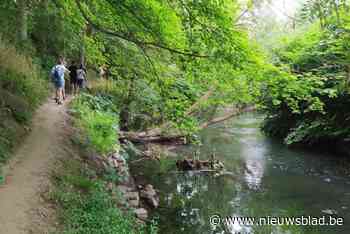 Halle koopt gronden voor extra groen langs populair Zennepad