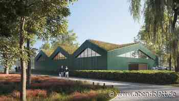 7 Millionen Euro! Warum Neubau für Hamburgs Schwäne so teuer wird