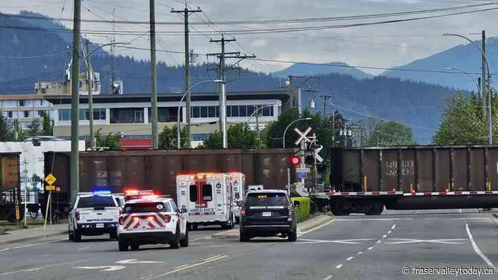 Chilliwack pedestrian fatally struck by train near Young Road rail crossing