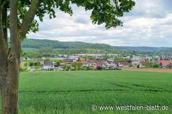 Entsteht hier ein Baugebiet?