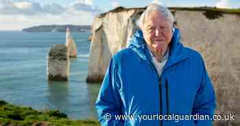 All to know about Sir David Attenborough's new documentary (and how to watch it)