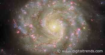 Hubble images two spiral galaxies: one perfect and one peculiar