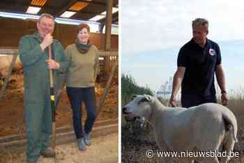 Veehouders in de polder vechten al jaar tegen PFAS-vervuiling, Alexander neemt heft nu in eigen handen