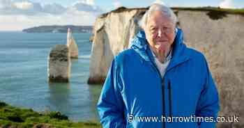All to know about Sir David Attenborough's new documentary (and how to watch it)