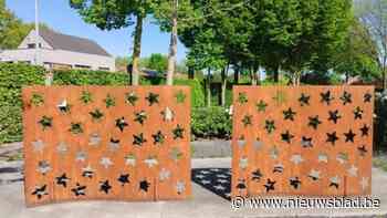 Ouders blij met sterrenregister voor álle stilgeboren kindjes: “Ons kind heeft bestaan en heeft een naam”