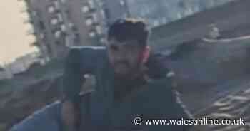 Police want to speak to this man after indecent exposure on Swansea Beach