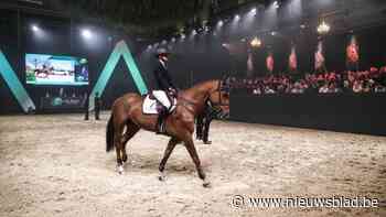 Sjeiks, prinsessen en een springpaard van 1,2 miljoen euro op veiling van Sentower Park in Oudsbergen