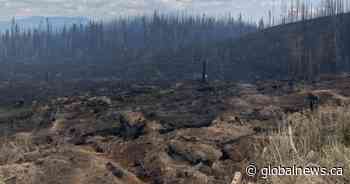 Planned burn during 2023 Shuswap wildfires could have turned deadly: report