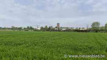 Plan voor zonnepanelenpark in Tongeren stuit op protest: “Zo’n zeldzaam ecosysteem is nauwelijks te herstellen”