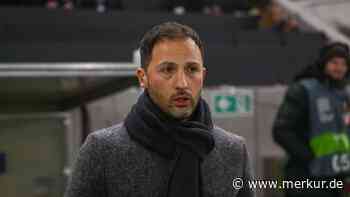 Trainersuche bei Schalke: Kehrt nun ein alter Bekannter zurück?