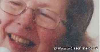 Woman, 74, goes missing in Cardiff