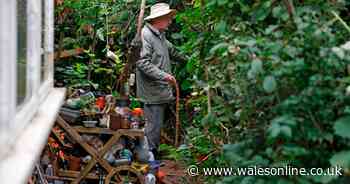 Eighty-year-old hoarder who has filled his garden with junk given ultimatum