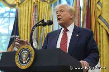 Donald Trump taps wellness influencer close to Robert F. Kennedy Jr. for surgeon general