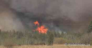 Growing concerns over wildfires in Alberta fuelled by soaring temperatures and gusting winds