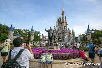 Disney parks thrive in second quarter and company adds 1.4 million new streaming subscribers