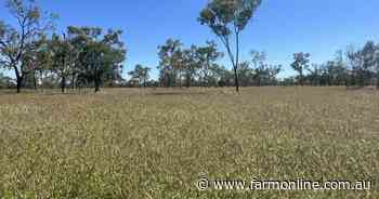 Well-watered central west grazing property with established tourism bonus