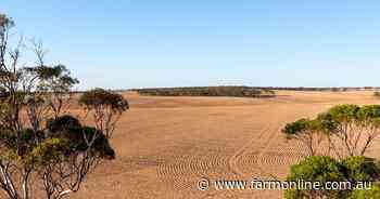 Two big paddocks in the Mid North ideal for cropping and farm expansion