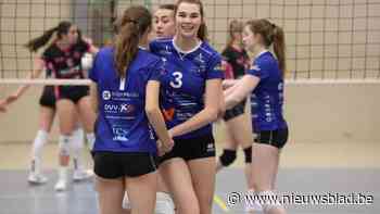 Mavo, Stal en Alken zijn sterk vertegenwoordigd in de Vlaamse eindronden: “Goed voor de toekomst van het volleybal”