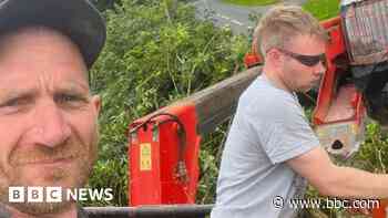 Sycamore Gap felling 'bit of a laugh' - prosecutor