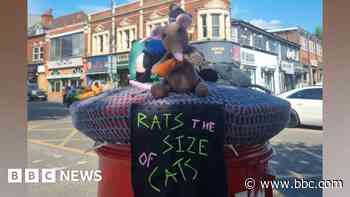 'Rats the size of cats' postbox topper appears in Birmingham