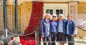 New forest village unveils poppy display for VE Day