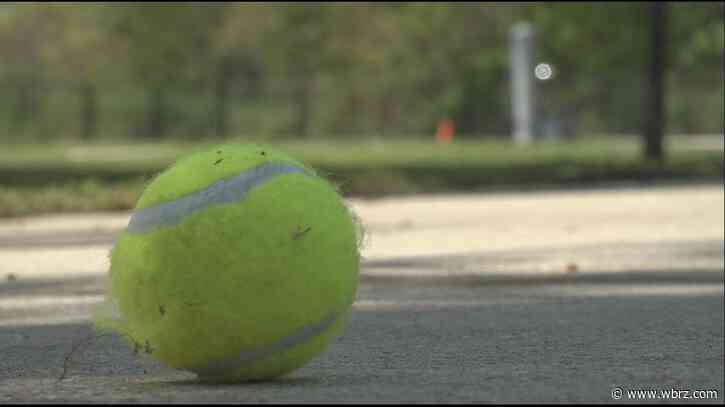 Bills looking to reshape BREC, reduce state income and sales taxes pass La. House