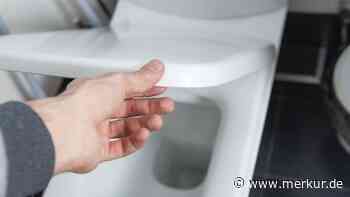 Putz-Trick: Mithilfe von Essig und Natron wird die Toilette wieder blitzeblank