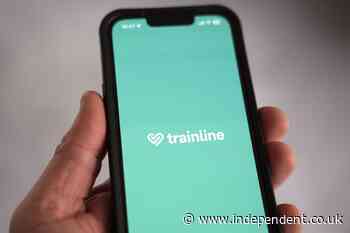 Trainline profits surge amid record sales as firm braces for UK rail shake-up