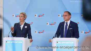 Das schreibt der Verfassungsschutz in seinem AfD-Gutachten