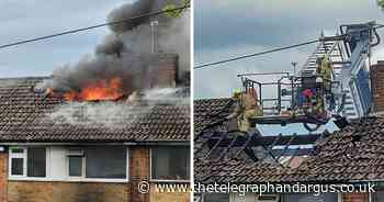 Latest from fire service after devastating blaze tears through three houses
