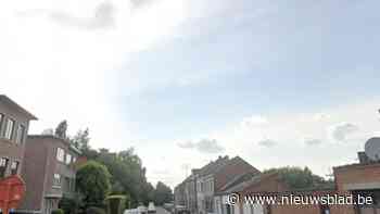 Rolwagenstraat, Wuyts-Van Campenlaan en Vogelzang krijgen meer groen: “Goed voor 3.480 gewipte tegels”