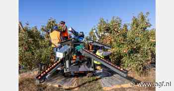 Kostenanalyse van oogstrobot in hardfruitteelt