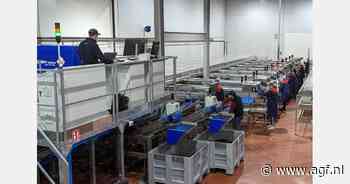 Burgerinitiatief voor afzet kleine kersen