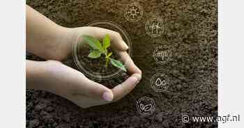 "Ondernemers willen verduurzamen, maar kijken bezorgd naar Trump"