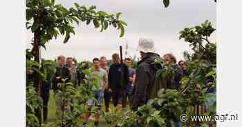 Kijkje achter de schermen bij Portugese fruitbedrijven tijdens Young Fruit Pro studietrip