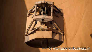 Wachten is niet beloond op de tarwemarkt