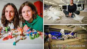 Leerlingen Huis van Creativiteit COLOMAplus cureren eigen expo: “Kunstenaars in spe krijgen kans om talenten te ontplooien”