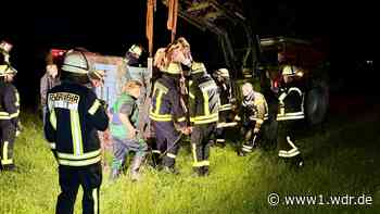 Tierischer Rettungseinsatz: Feuerwehr befreit Bullen aus Notlage