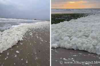 Noordzee staat ‘in bloei’: dikke pakken schuim spoelen aan op het strand