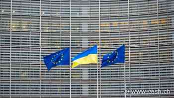 Ukraine erwägt laut Zentralbankchef Umstellung von Dollar auf Euro