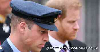 Prince William's friend gives brutal verdict on Prince Harry's BBC interview