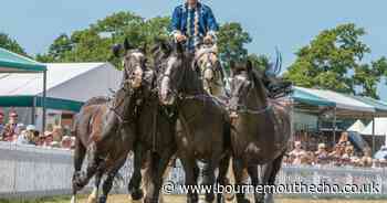 Fears for the future of the New Forest Show as costs soar