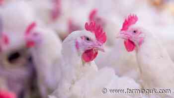 £10m boost to genomic surveillance to combat costly disease threats