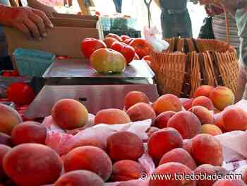 Bowling Green farmers market opens for season May 14