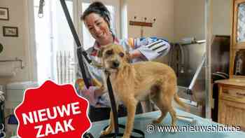 Ingrid heeft rust gevonden als hondenkapster: “Als een hond zenuwachtig is, trim ik hem gewoon in twee of drie keer”