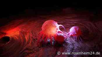 Therapie macht Krebs den Garaus: Über 50 Prozent der Patienten krebsfrei