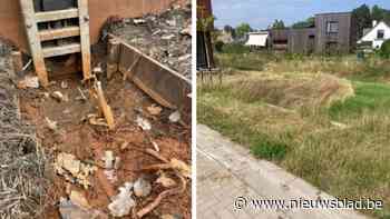 Wadi in nieuwe wijk zorgt voor frustraties bij omwonenden: “Het water trekt ratten en muggen aan”