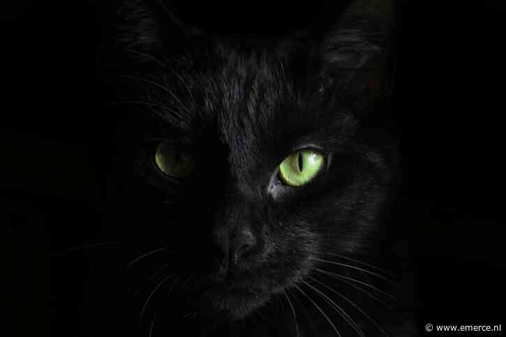 Mistral brengt enterprise-AI uit